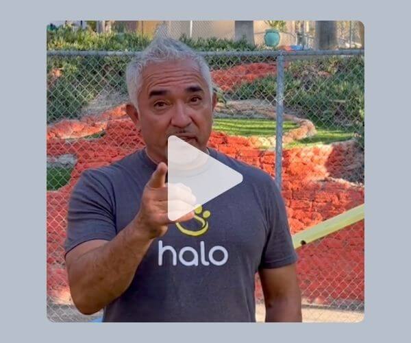 A man with gray hair wearing a “halo” t-shirt points toward the camera while standing in front of a fenced area with orange mulch and greenery. A play button is centered on the image.