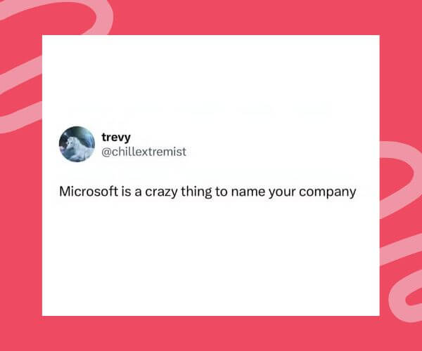Screenshot of a tweet from @chillextermist that reads, "Microsoft is a crazy thing to name your company," on a white background with a red border.