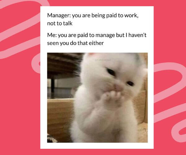 A fluffy white kitten smirking with a paw up as if giggling, paired with a meme that reads: “Manager: you are being paid to work, not to talk. Me: you are paid to manage but I haven’t seen you do that either.”