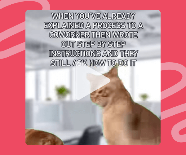 Blurry cat meme with a caption that reads, “When you’ve already explained a process to a coworker then wrote out step-by-step instructions and they still ask how to do it,” set against a blurred office background.