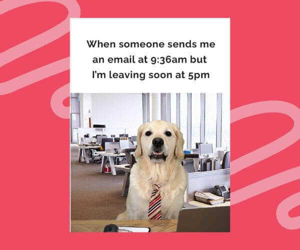 A golden retriever wearing a red-striped tie sits at a desk in an office, with the caption: “When someone sends me an email at 9:36am but I'm leaving soon at 5pm.”