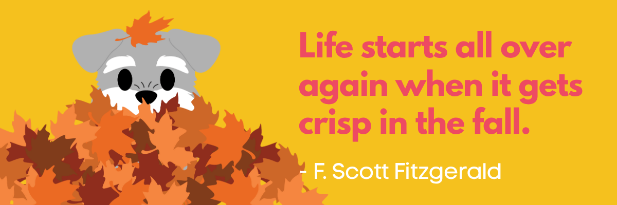 Illustration of a cute gray-and-white dog peeking out from a pile of colorful fall leaves on a yellow background. Beside it, pink text reads, “Life starts all over again when it gets crisp in the fall.” — F. Scott Fitzgerald.