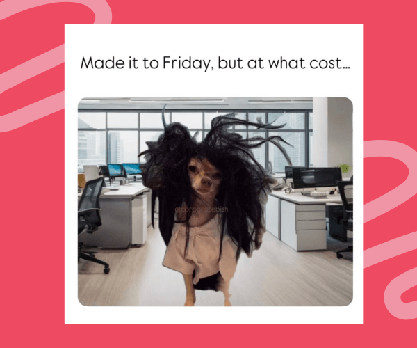 A small dog with wild, messy hair and tired eyes stands in an office, wearing a loose shirt. The text above reads, “Made it to Friday, but at what cost…”