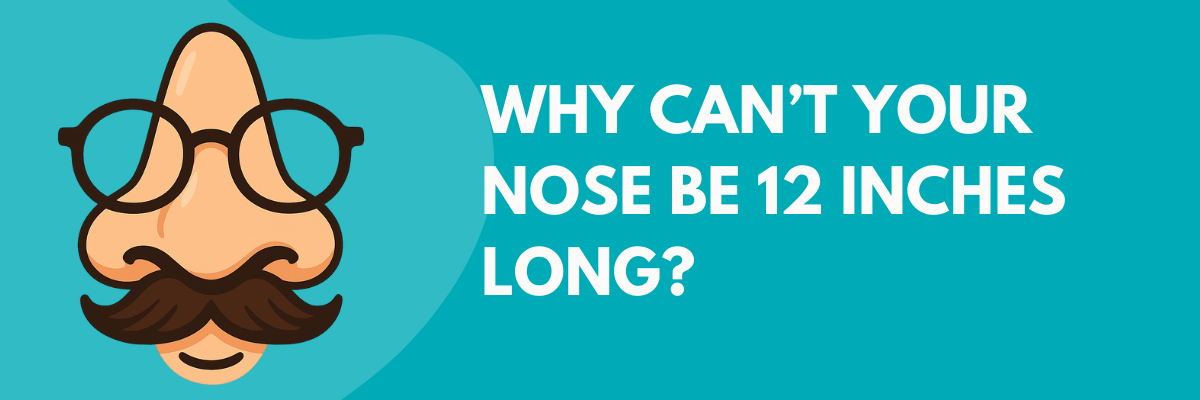 A cartoon illustration of a large nose with glasses and a mustache on a teal background next to bold text that reads, ‘Why can’t your nose be 12 inches long?’.