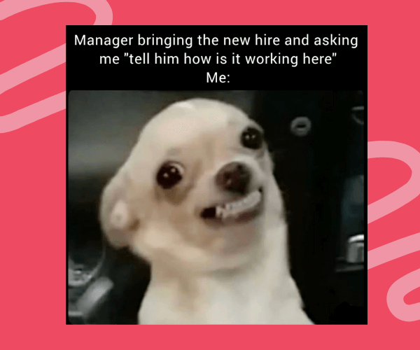 A meme shows a nervous-looking chihuahua baring its teeth with the caption: "Manager bringing the new hire and asking me 'tell him how is it working here' Me:" implying discomfort or awkwardness in responding truthfully.