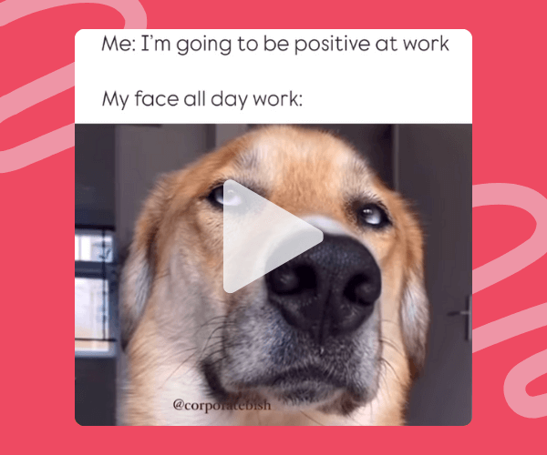 A close-up of a dog’s droopy, unamused face is shown under text about trying to stay positive at work, with the video play button centered over its nose.