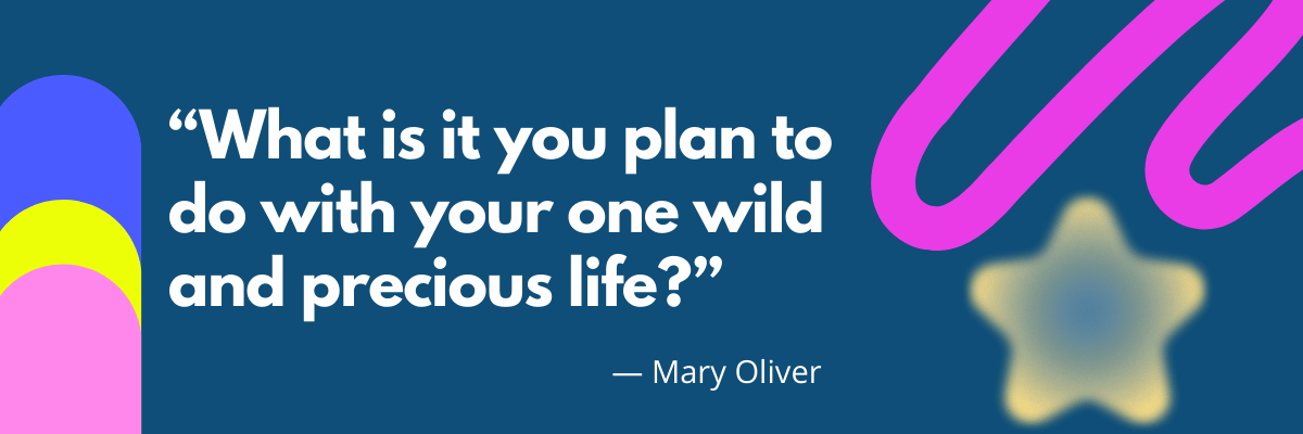 Graphic with the quote, “What is it you plan to do with your one wild and precious life?” by Mary Oliver, set against a dark blue background with playful abstract shapes in pink, yellow, and purple.