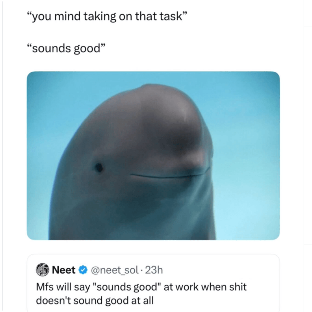 Meme showing text that reads, “you mind taking on that task” followed by “sounds good,” above an image of a smiling dolphin. A tweet below jokes about agreeing to work tasks that actually do not sound good at all.