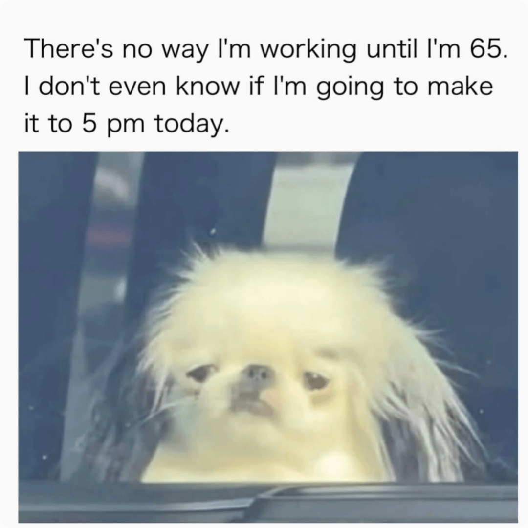 Meme featuring a tired-looking dog with text joking, “There’s no way I’m working until I’m 65. I don’t even know if I’m going to make it to 5 pm today.”