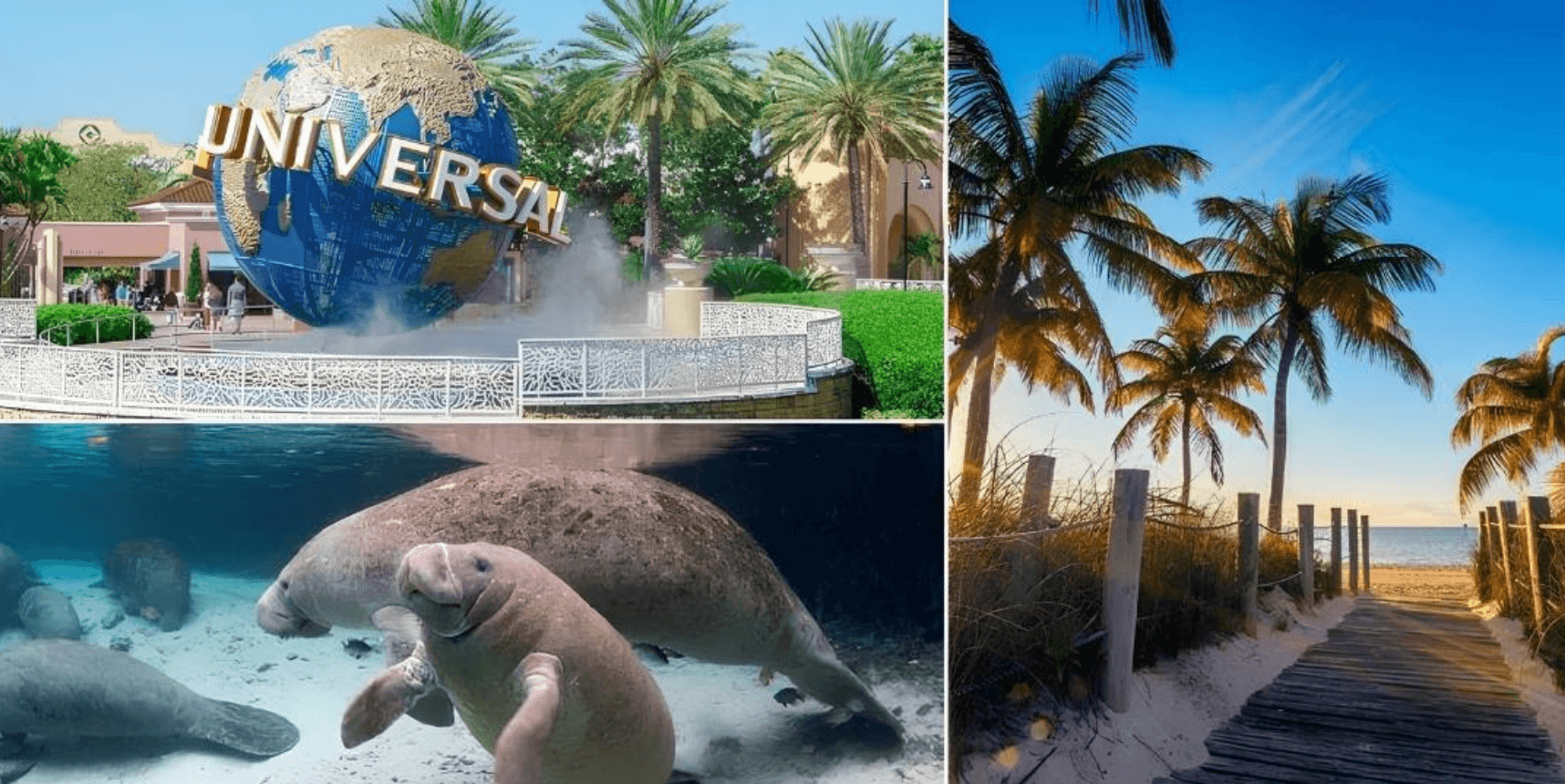 A travel collage features the iconic Universal globe, a group of manatees underwater, and a palm-lined beach boardwalk leading to the ocean.