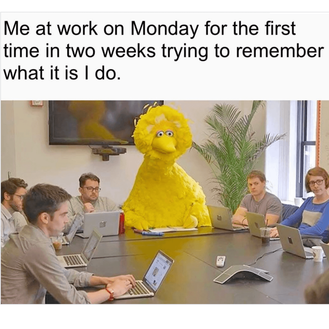 A meme shows the text, "Me at work on Monday for the first time in two weeks trying to remember what it is I do." Below, the Sesame Street character Big Bird sits awkwardly at a conference table surrounded by people working on laptops in a meeting room.