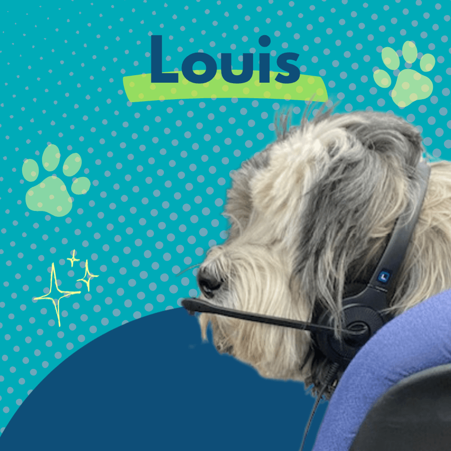 A pet-of-the-week graphic features a small dog wearing a black headset and sitting on a blue surface. Colorful illustrations of a laptop, coffee cup, plants, and other office items surround the dog.