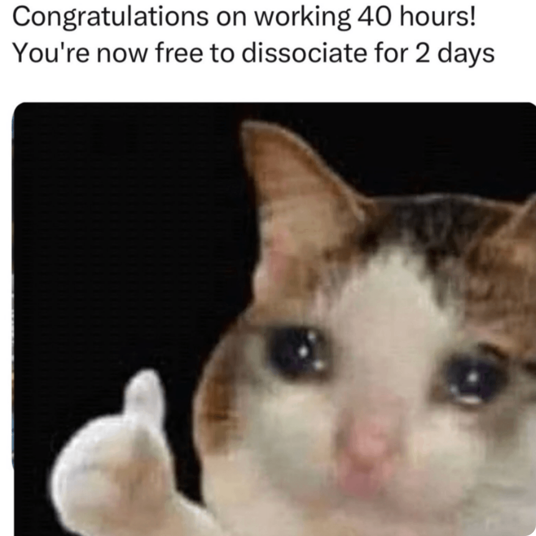 A workplace meme celebrating the end of a 40-hour workweek with a tired-looking cat. It humorously captures the feeling of needing the weekend to recover from work.