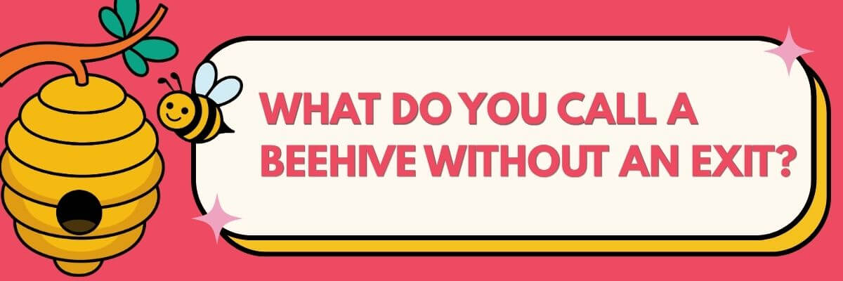 A humorous bee-themed graphic asking, “What do you call a beehive without an exit?” The bright colors and cartoon illustration give it a lighthearted, playful feel.